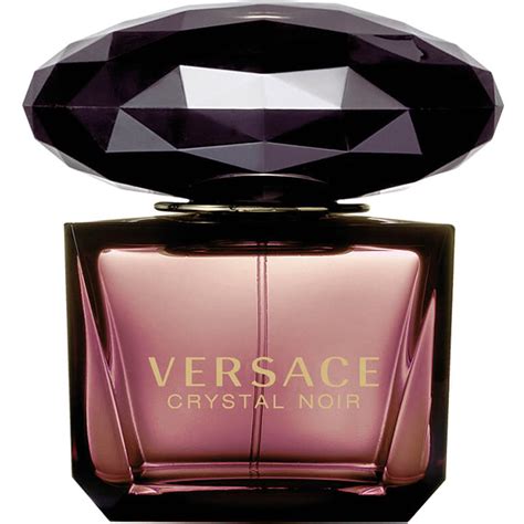 versace noir fragrantica|versace black noir perfume price.